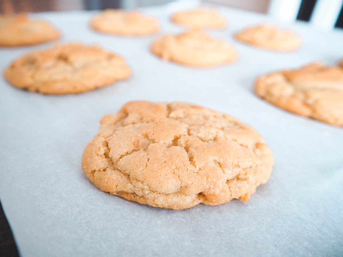 best butterscotch cookie recipe