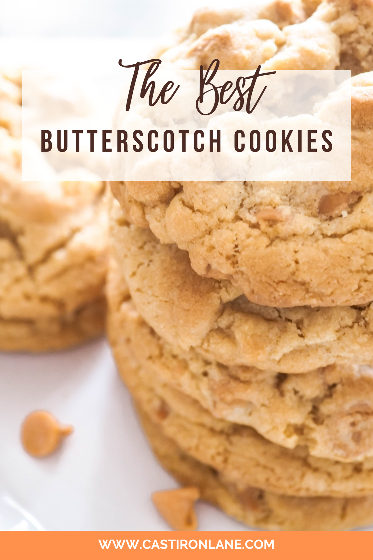 best butterscotch cookie recipe