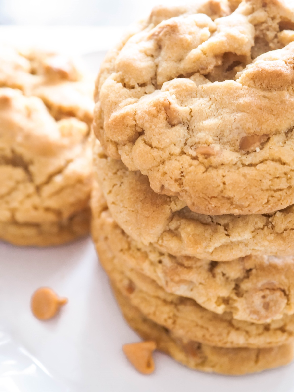 best butterscotch cookie recipe
